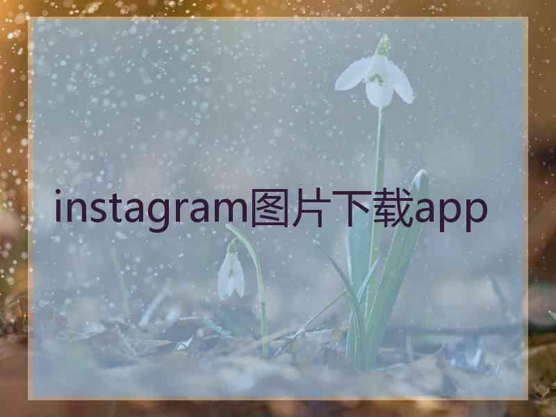 instagram图片下载app