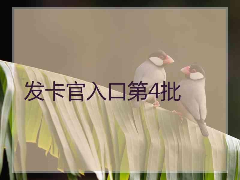 发卡官入口第4批