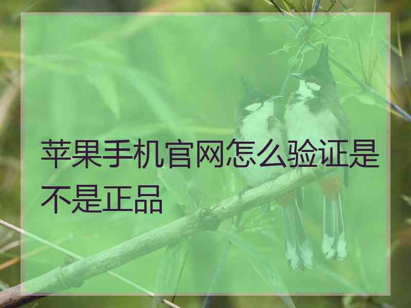 苹果手机官网怎么验证是不是正品