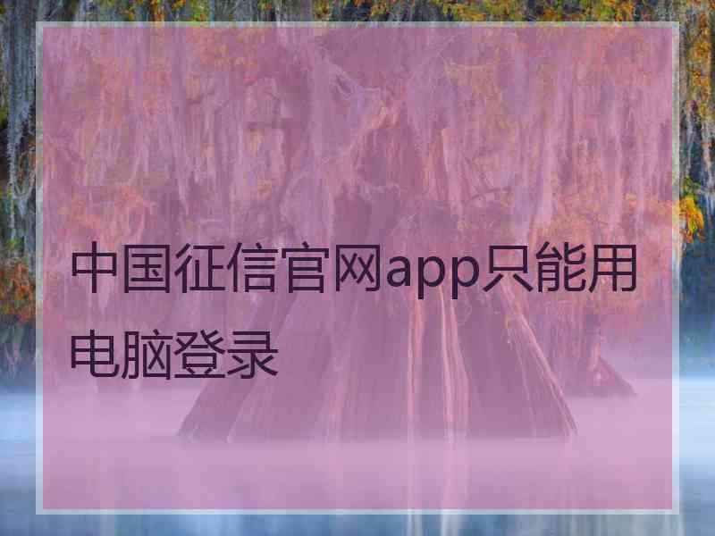 中国征信官网app只能用电脑登录