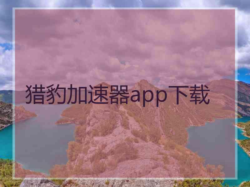 猎豹加速器app下载