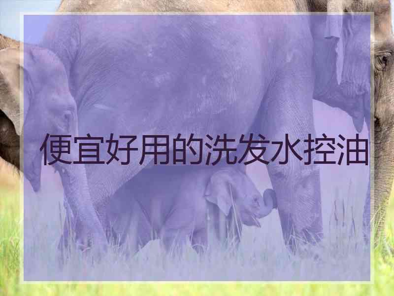 便宜好用的洗发水控油
