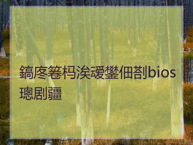 鎬庝箞杩涘叆鐢佃剳bios璁剧疆