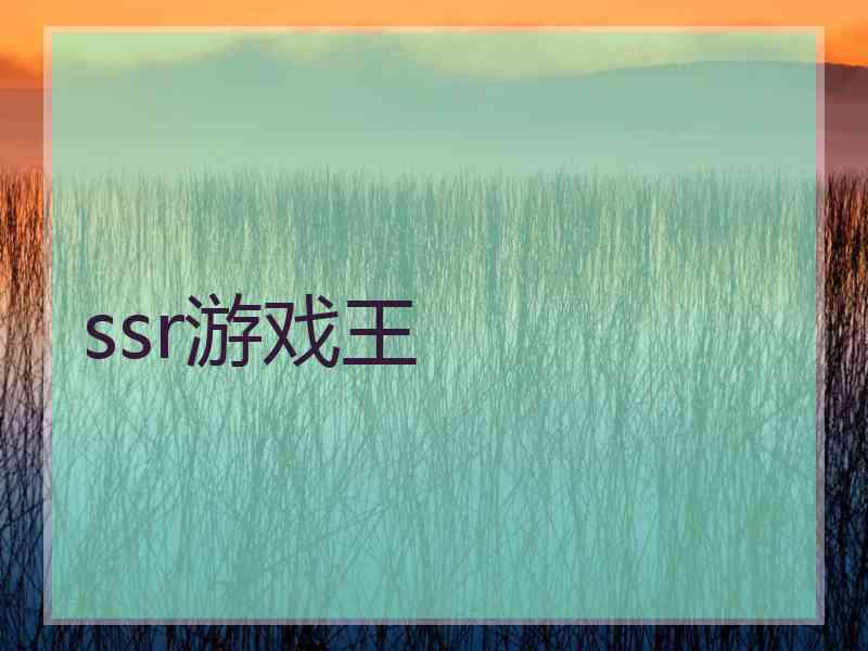 ssr游戏王