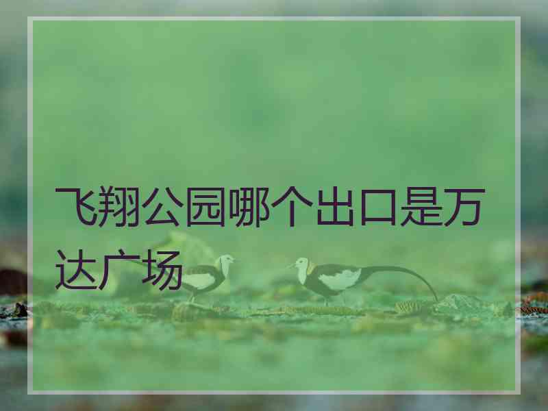 飞翔公园哪个出口是万达广场
