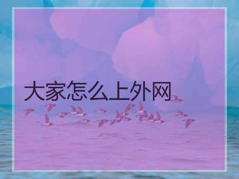 大家怎么上外网