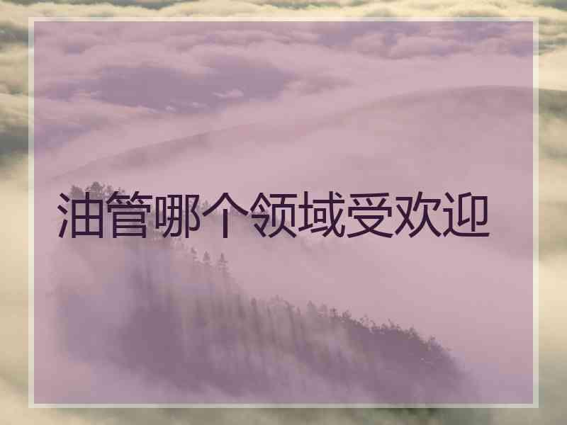 油管哪个领域受欢迎