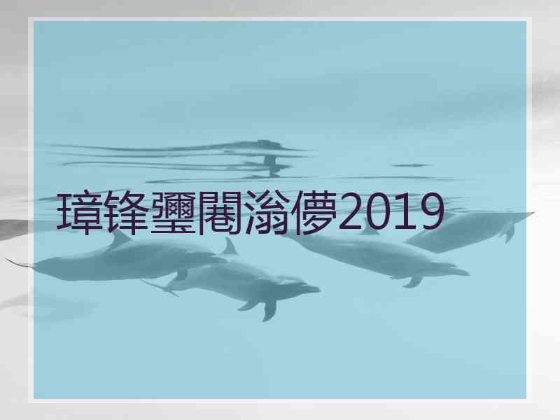 璋锋瓕闀滃儚2019