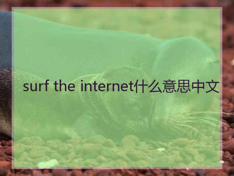 surf the internet什么意思中文