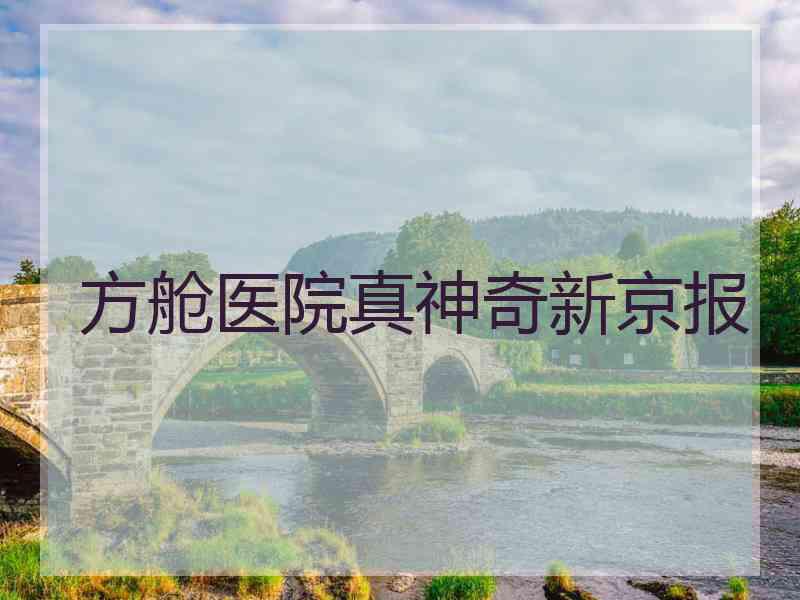 方舱医院真神奇新京报