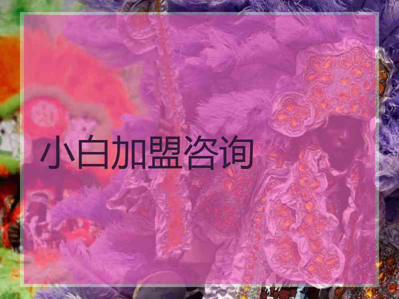 小白加盟咨询