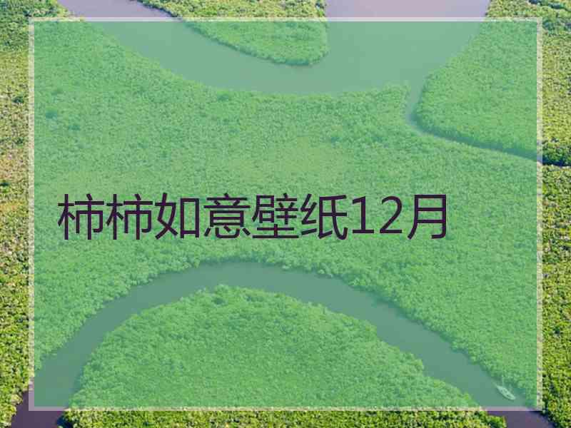 柿柿如意壁纸12月