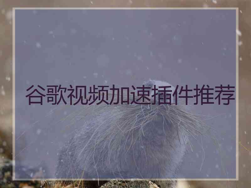 谷歌视频加速插件推荐