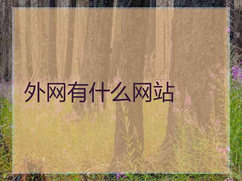 外网有什么网站