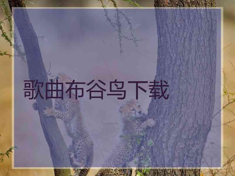 歌曲布谷鸟下载