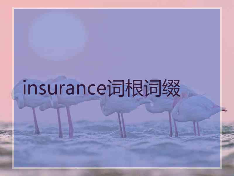 insurance词根词缀