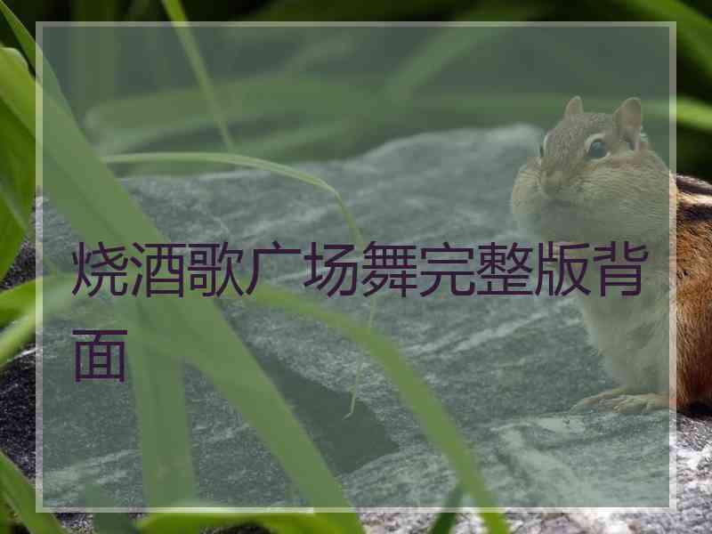 烧酒歌广场舞完整版背面