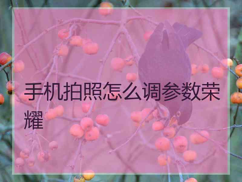 手机拍照怎么调参数荣耀