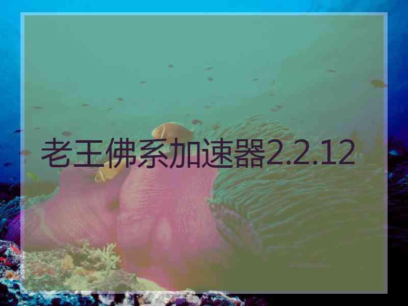 老王佛系加速器2.2.12