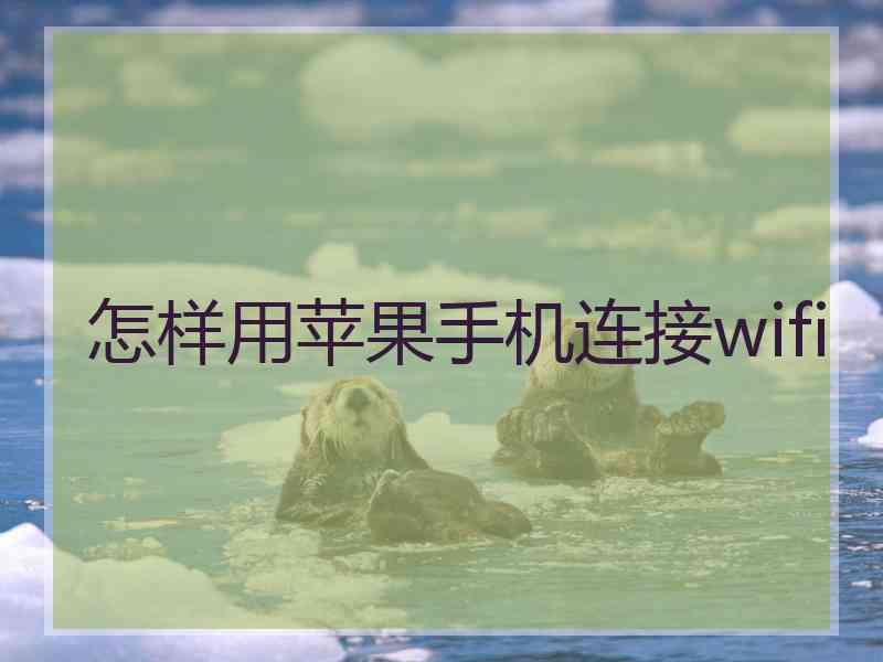 怎样用苹果手机连接wifi