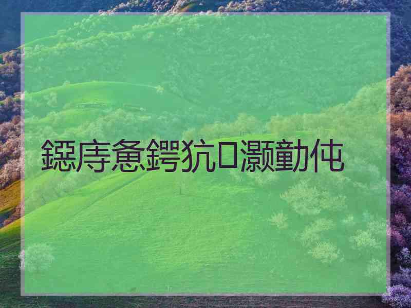 鐚庤惫鍔犺灏勭伅
