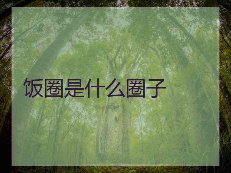 饭圈是什么圈子