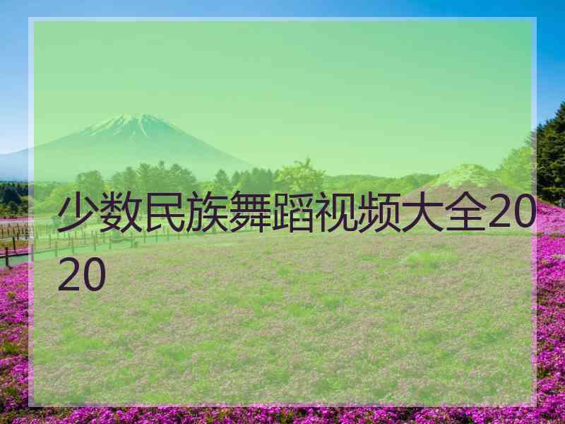少数民族舞蹈视频大全2020