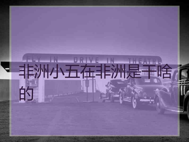非洲小五在非洲是干啥的