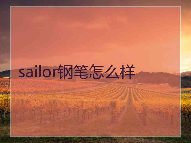 sailor钢笔怎么样