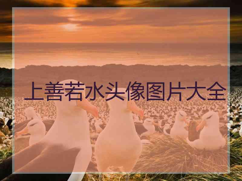 上善若水头像图片大全