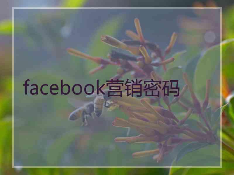 facebook营销密码