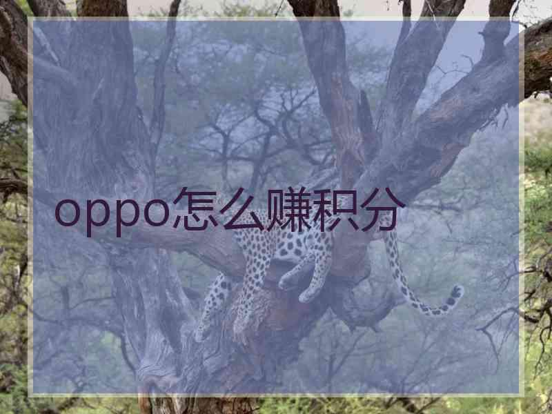 oppo怎么赚积分
