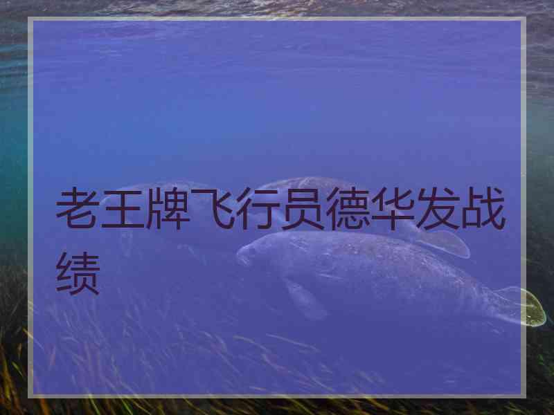 老王牌飞行员德华发战绩