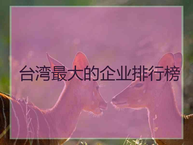 台湾最大的企业排行榜