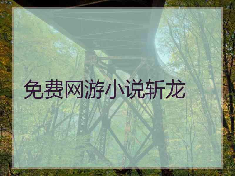 免费网游小说斩龙