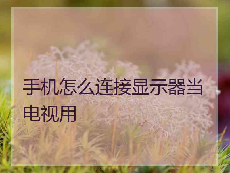 手机怎么连接显示器当电视用