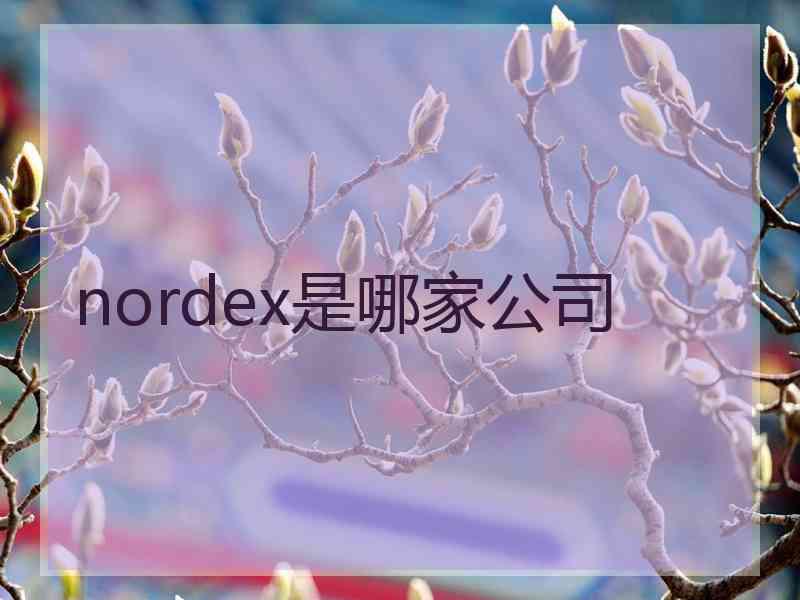 nordex是哪家公司