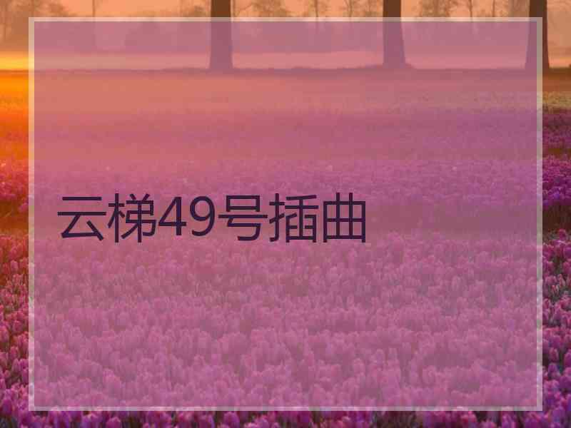 云梯49号插曲