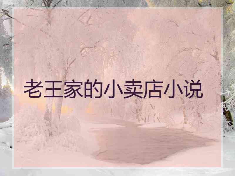 老王家的小卖店小说