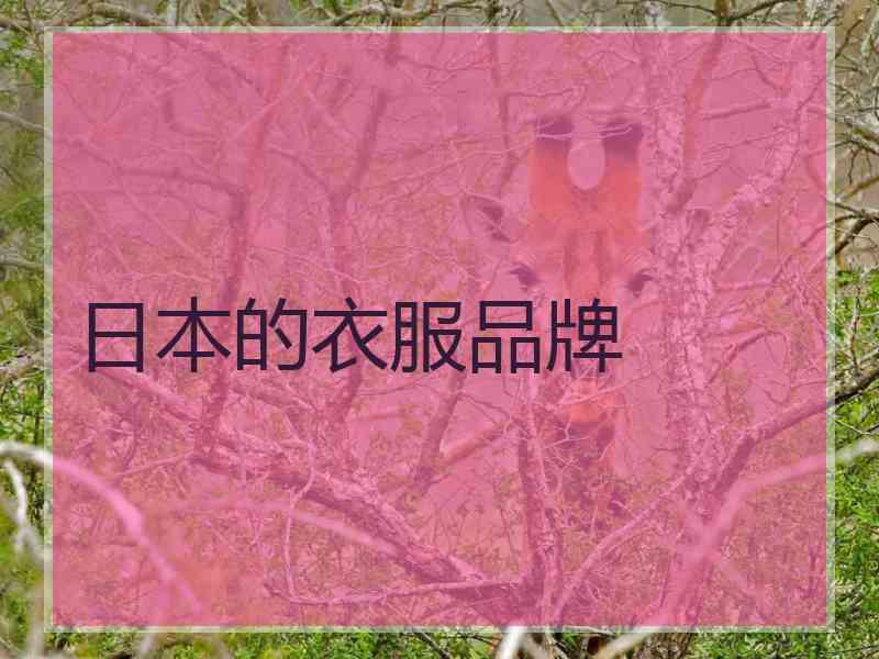 日本的衣服品牌