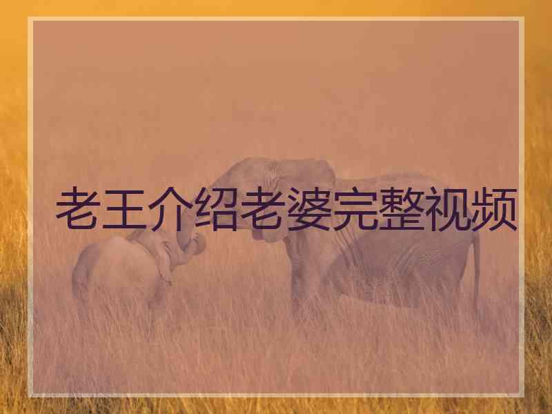 老王介绍老婆完整视频
