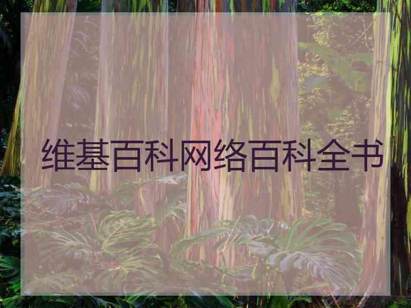 维基百科网络百科全书