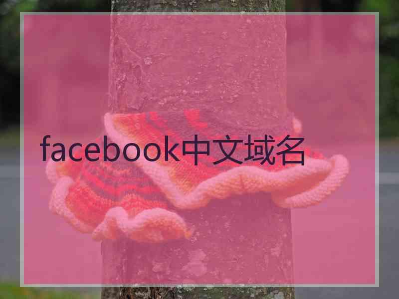 facebook中文域名