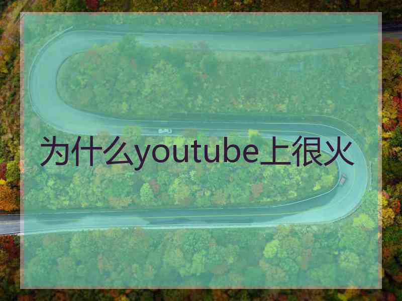 为什么youtube上很火