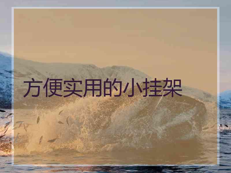 方便实用的小挂架