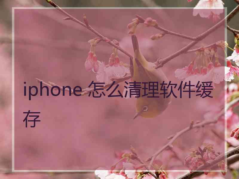 iphone 怎么清理软件缓存