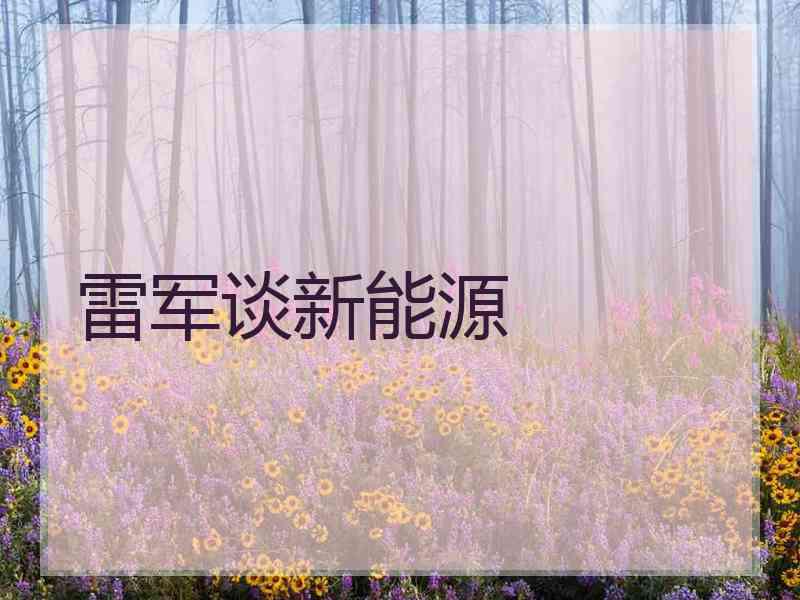 雷军谈新能源