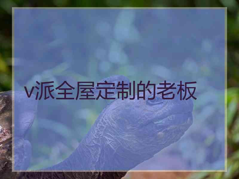 v派全屋定制的老板