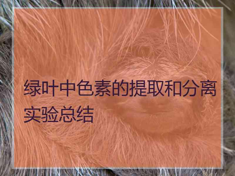 绿叶中色素的提取和分离实验总结