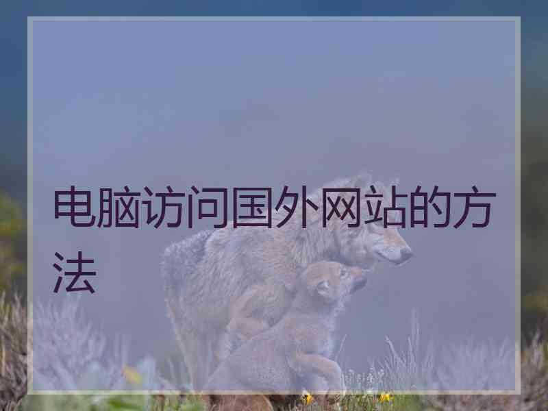 电脑访问国外网站的方法